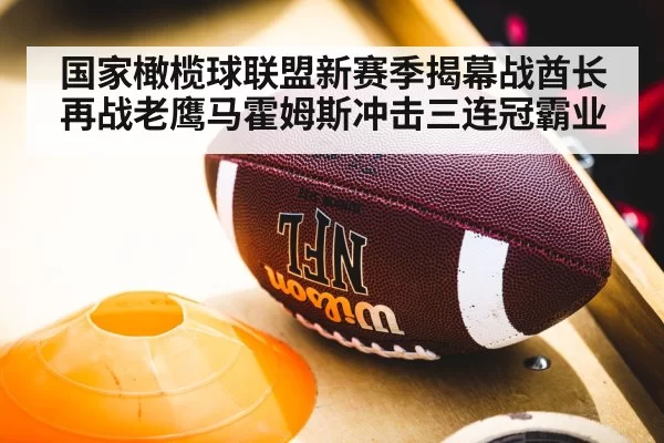 国家橄榄球联盟新赛季揭幕战酋长再战老鹰马霍姆斯冲击三连冠霸业
