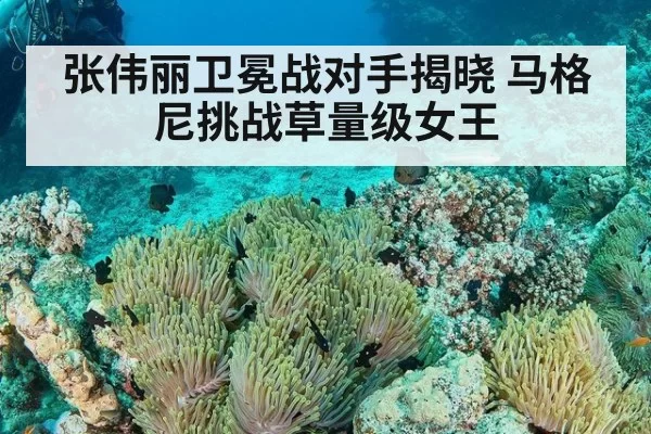 张伟丽卫冕战对手揭晓 马格尼挑战草量级女王